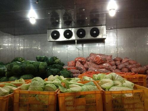 荆州蔬菜种植合作社冷库